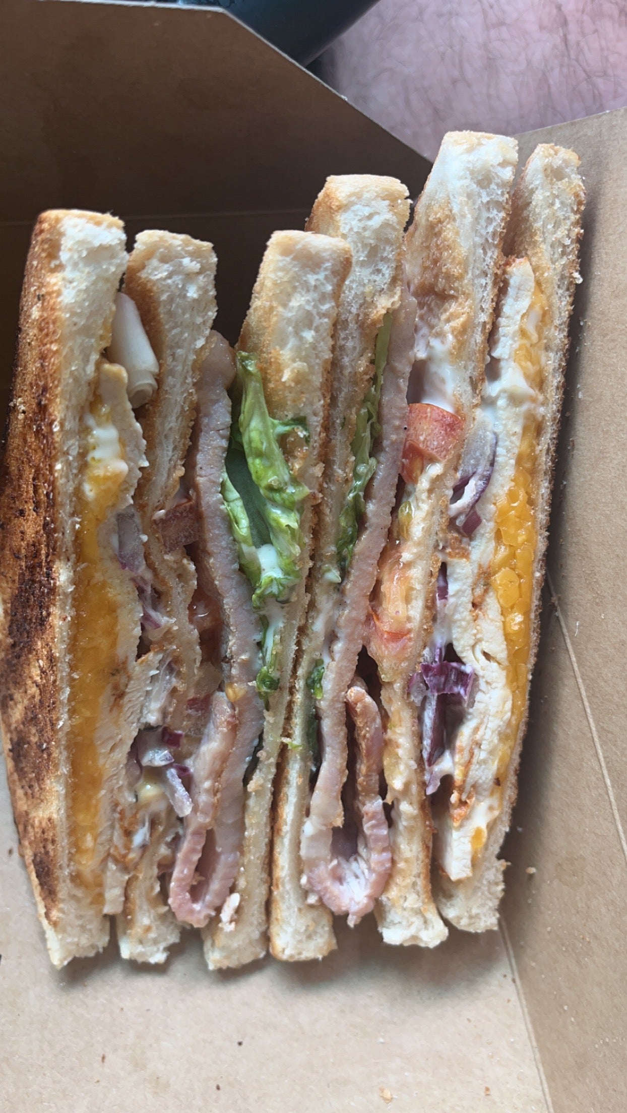 Club sandwich and chips