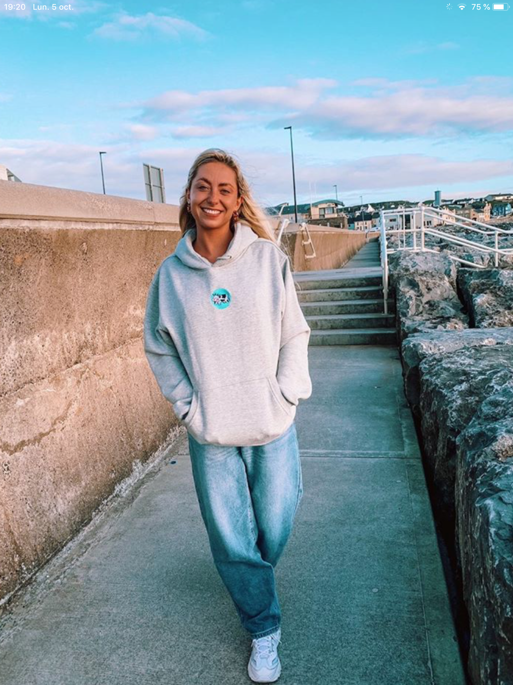 Silly Sid’s Logo Hoodie (Grey)